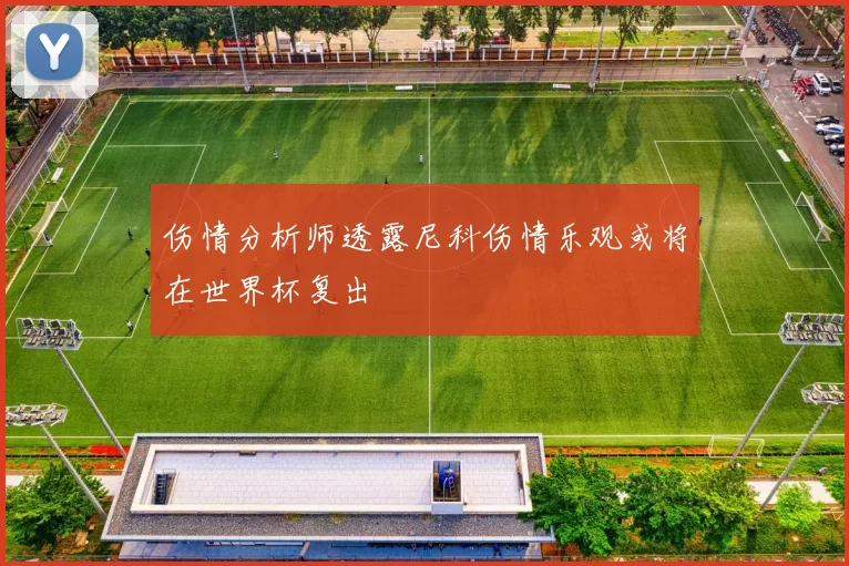 伤情分析师透露尼科伤情乐观或将在世界杯复出